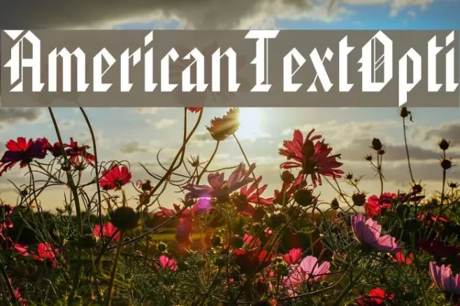 AmericanTextOpti Example 3