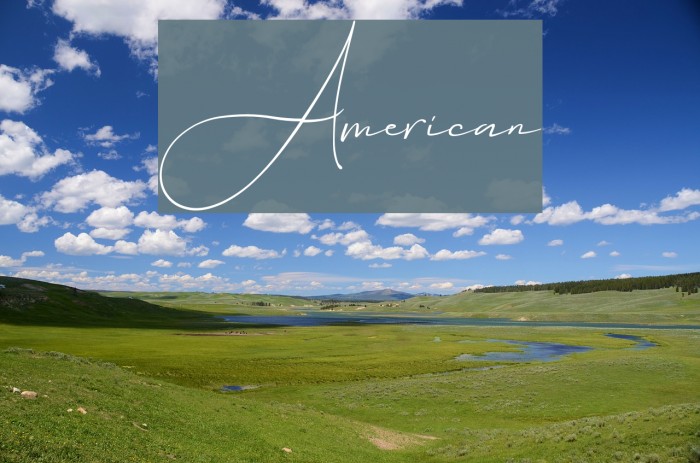 American Font examples