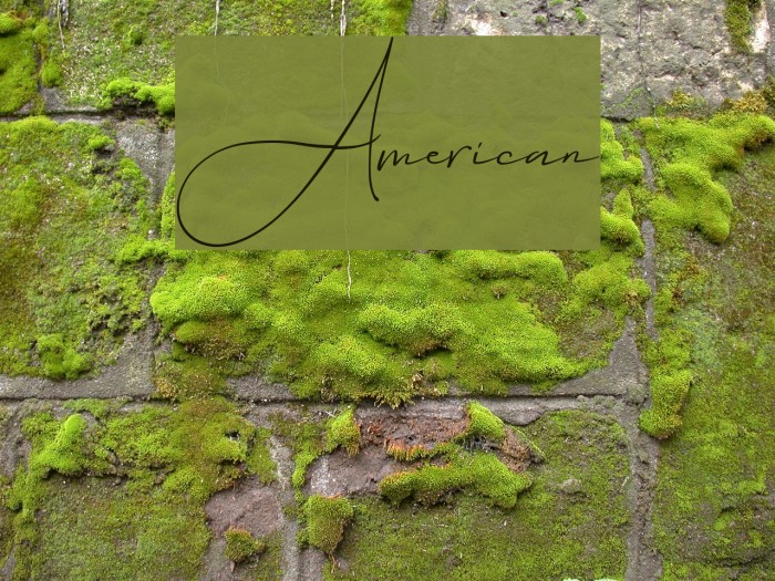 American Font examples