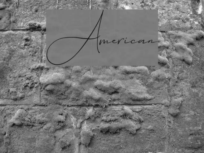 American خط examples