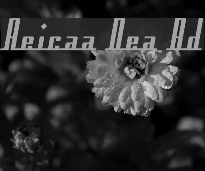 Americana Dreams Bold Caratteri examples