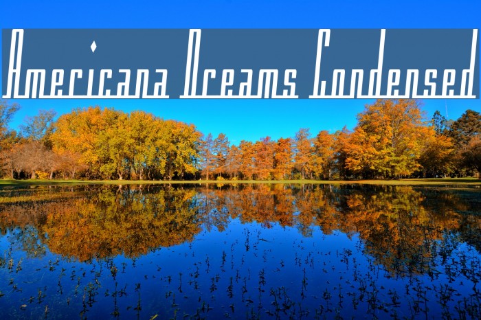 Americana Dreams Condensed لخطوط تنزيل examples