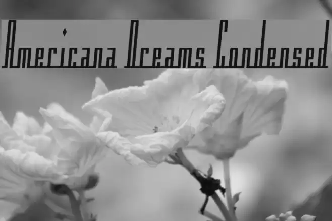 Americana Dreams Condensed خط examples