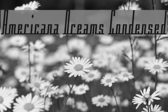 Americana Dreams Condensed خط examples