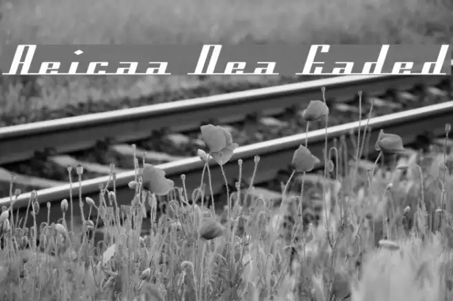 Americana Dreams Expanded Font examples