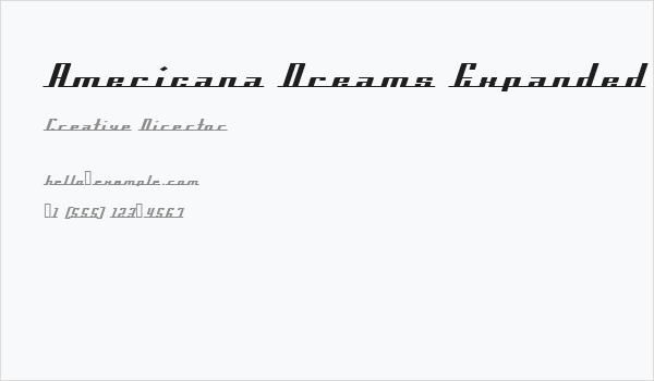 Americana Dreams Expanded Business Card
