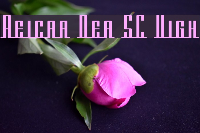 Americana Dreams SC Upright Font examples