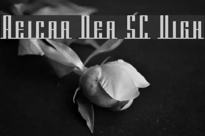 Americana Dreams SC Upright Font examples