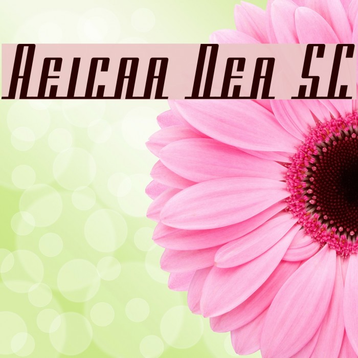 Americana Dreams SC Font examples