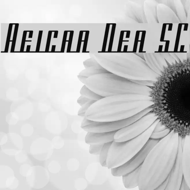 Americana Dreams SC Fonte examples