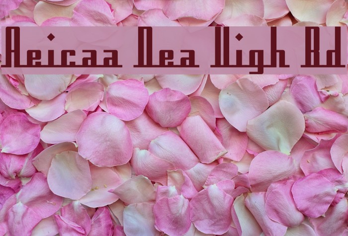 Americana Dreams Upright Bold Font examples