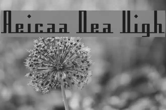 Americana Dreams Upright Font examples