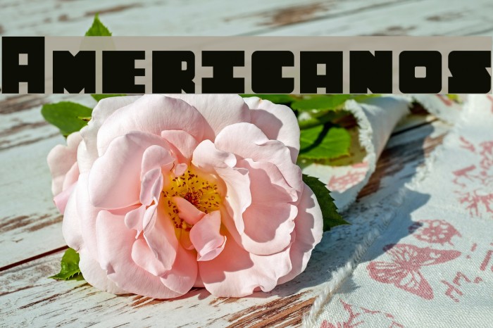 Americanos Example 2