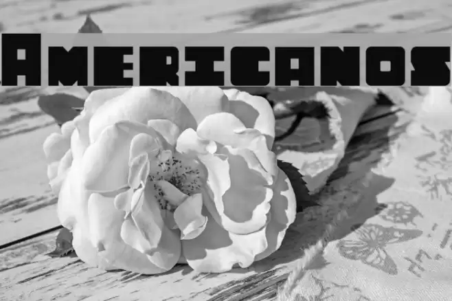 Americanos Font examples
