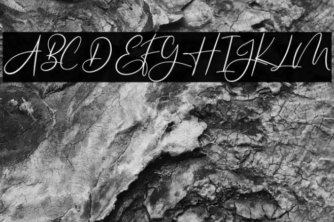 Americans Classy Font examples