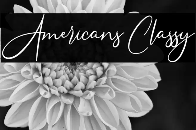 Americans Classy Font examples
