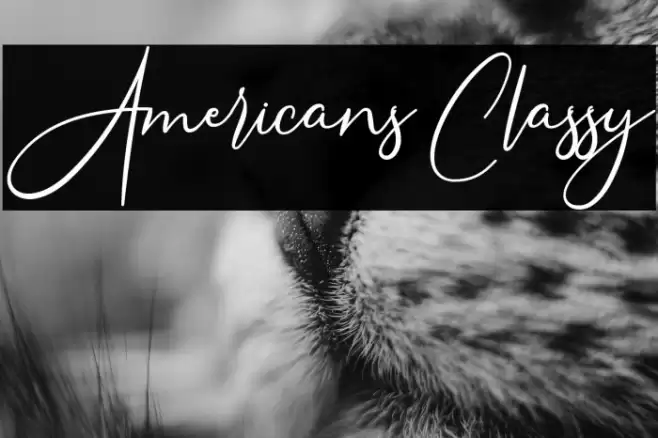 Americans Classy Font examples