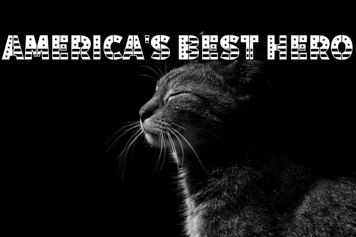 America's Best Hero Example 3