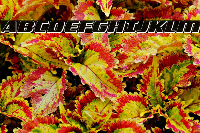 Americorps 3D Condensed Example 2