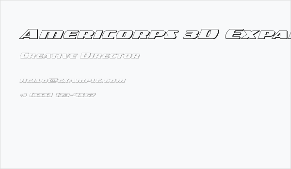 Americorps 3D Expanded Business Card