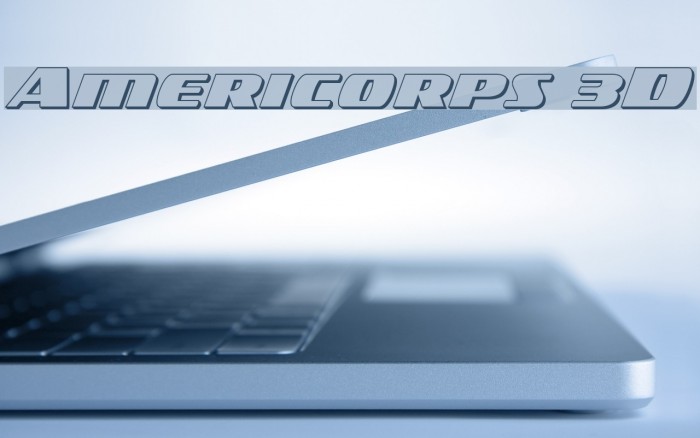 Americorps 3D Example 2