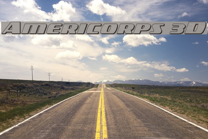 Americorps 3D Example 3