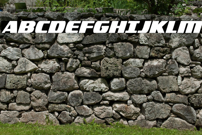 Americorps Bold Condensed Example 2