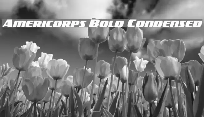 Americorps Bold Condensed Font examples