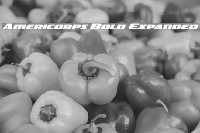 Americorps Bold Expanded Font examples
