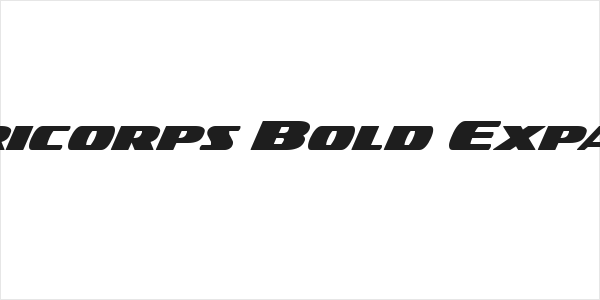 Americorps Bold Expanded Logo