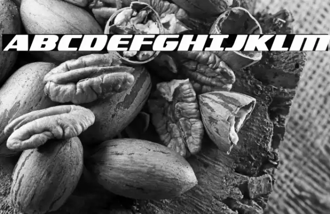 Americorps Bold Font examples