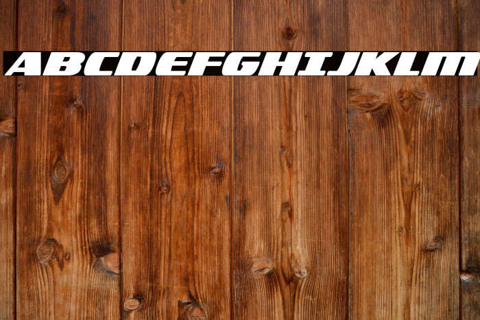 Americorps Bold Example 2