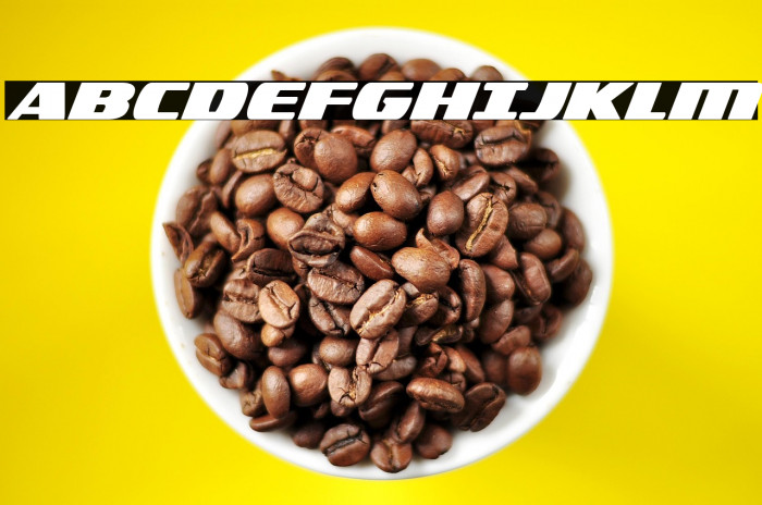 Americorps Bold Example 3