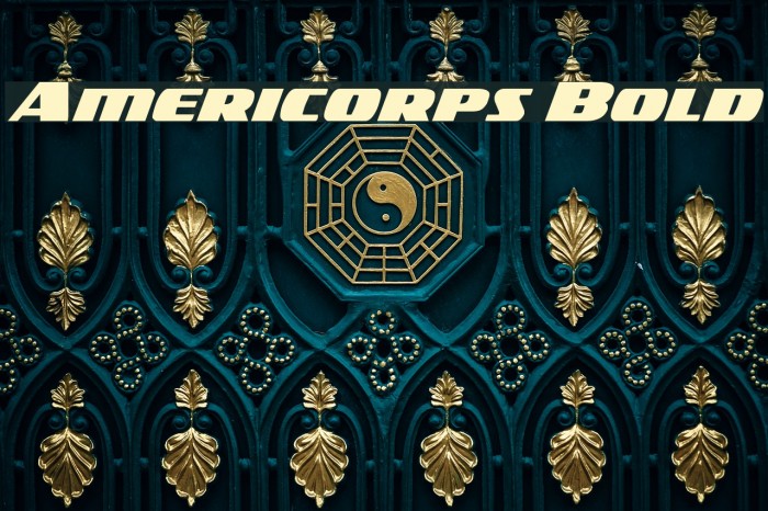 Americorps Bold Font examples