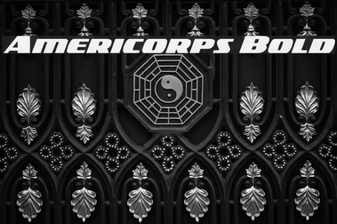 Americorps Bold Font examples