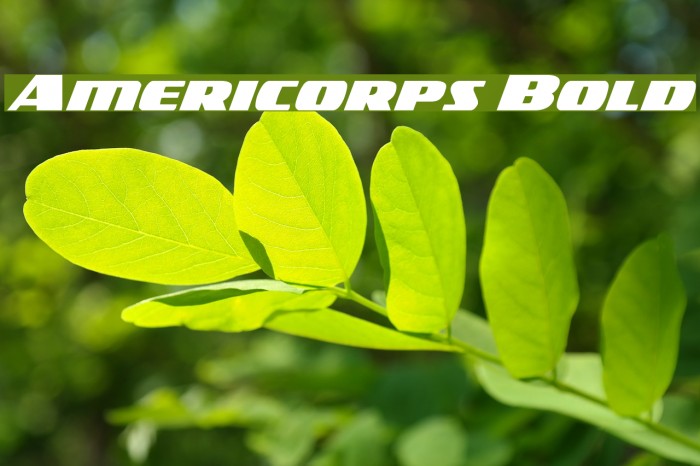 Americorps Bold Font examples