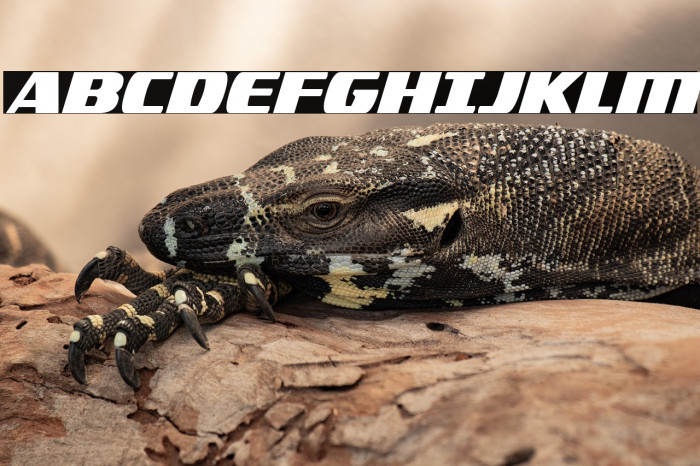 Americorps Condensed Example 2