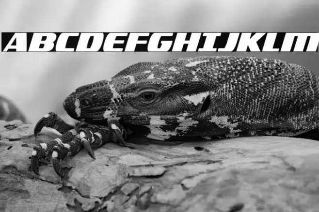 Americorps Condensed Font examples