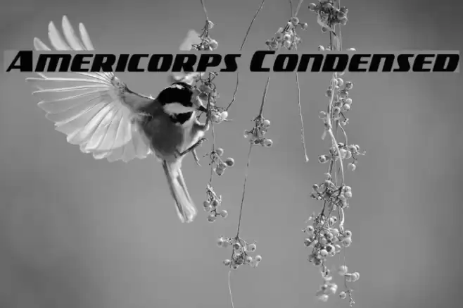 Americorps Condensed Font examples