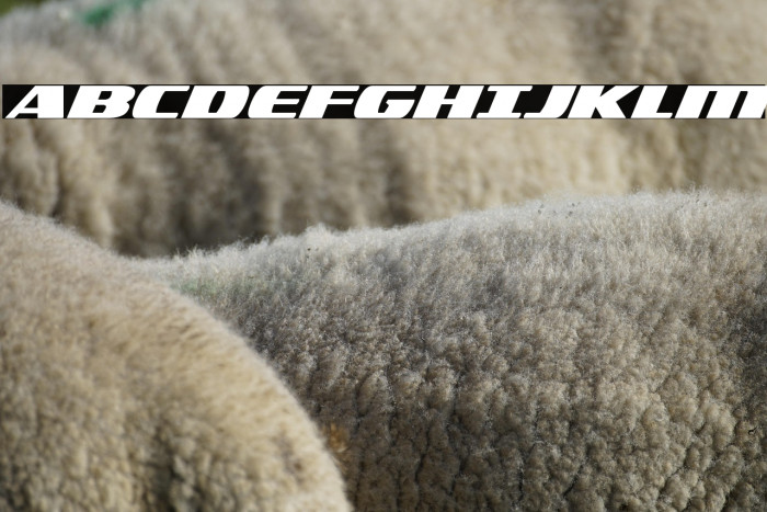 Americorps Expanded Example 1