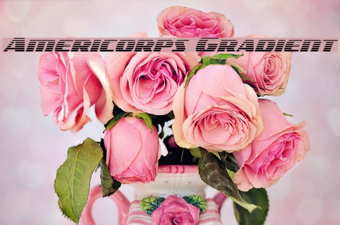Americorps Gradient Font examples