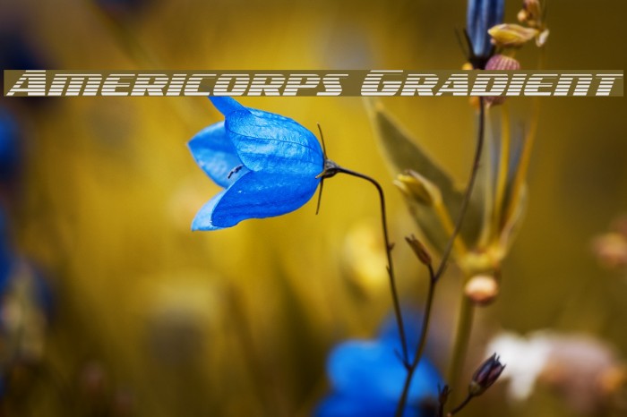 Americorps Gradient Font examples