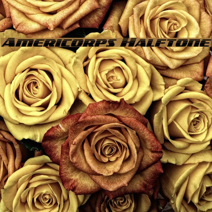 Americorps Halftone Font examples