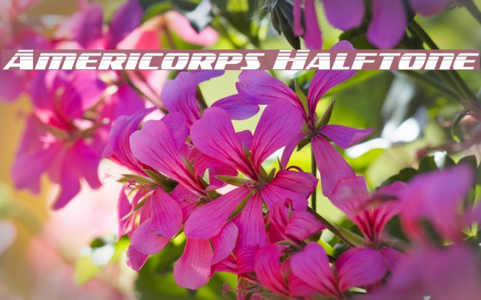 Americorps Halftone Font examples