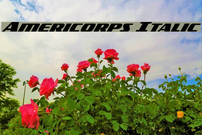 Americorps Italic Font examples
