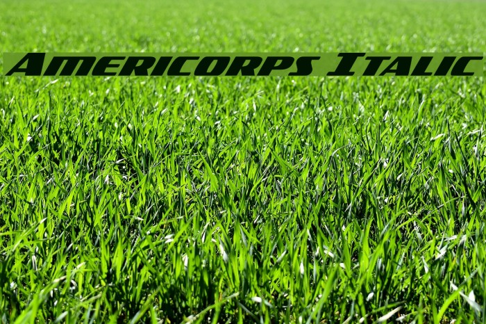 Americorps Italic Font examples