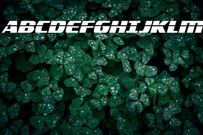 Americorps Laser Condensed Example 1