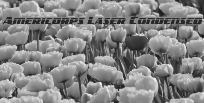Americorps Laser Condensed Font examples
