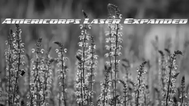 Americorps Laser Expanded Font examples