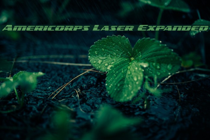 Americorps Laser Expanded Example 3